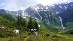 Filename=P1230897_2014-07-06_Sportgastein.JPG
Filesize=912KB
Dimensions=1600x900
Date added=Sep 22, 2014 P1230897_2014-07-06_Sportgastein.JPG